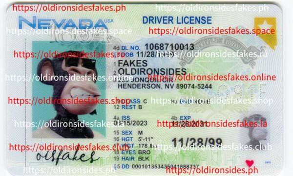 Nevada Driver License(New NV)