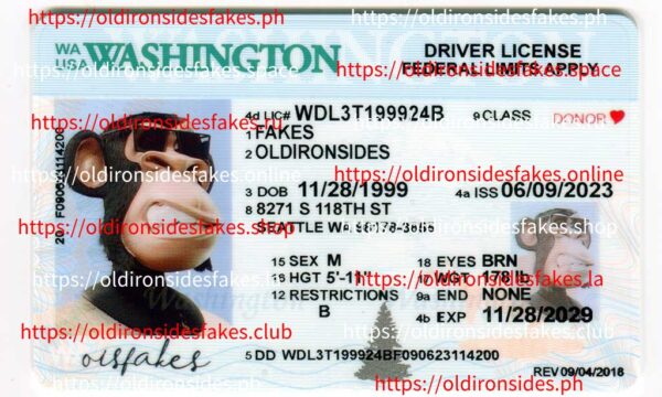 Washington Driver License(New WA)