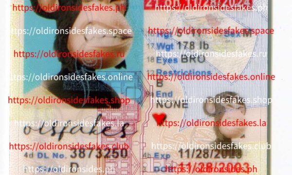 Delaware Driver License(New DE U21)